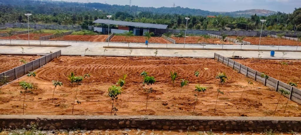 Nairuthya Whispering Wood — Drip-irrigated farmland plots and wide internal roads
