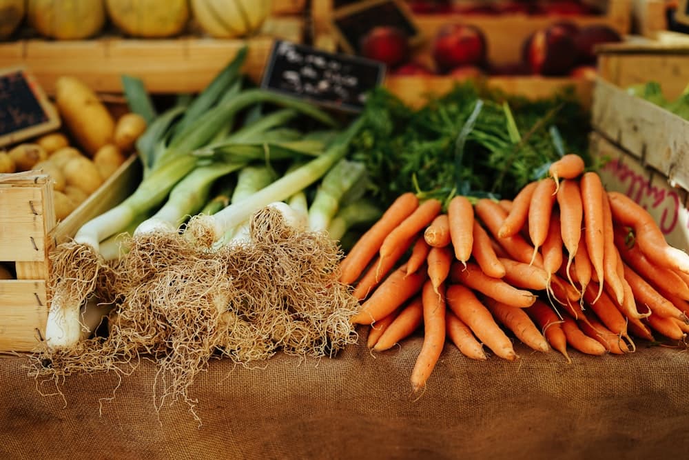 Bountiful seasonal produce harvested fresh from organic managed farmland