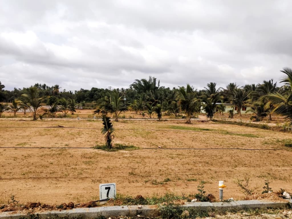 Coconut Garden — Premium Farm Plots in Bidadi